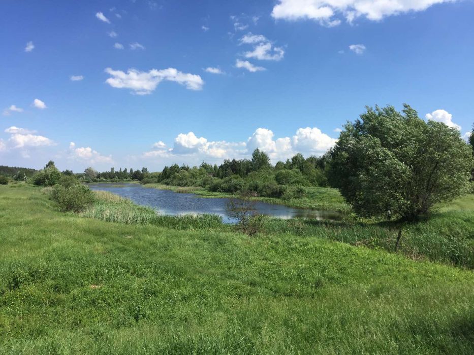 Будинок, дача, ділянка 12 соток, недалеко від Києва, Бородянка