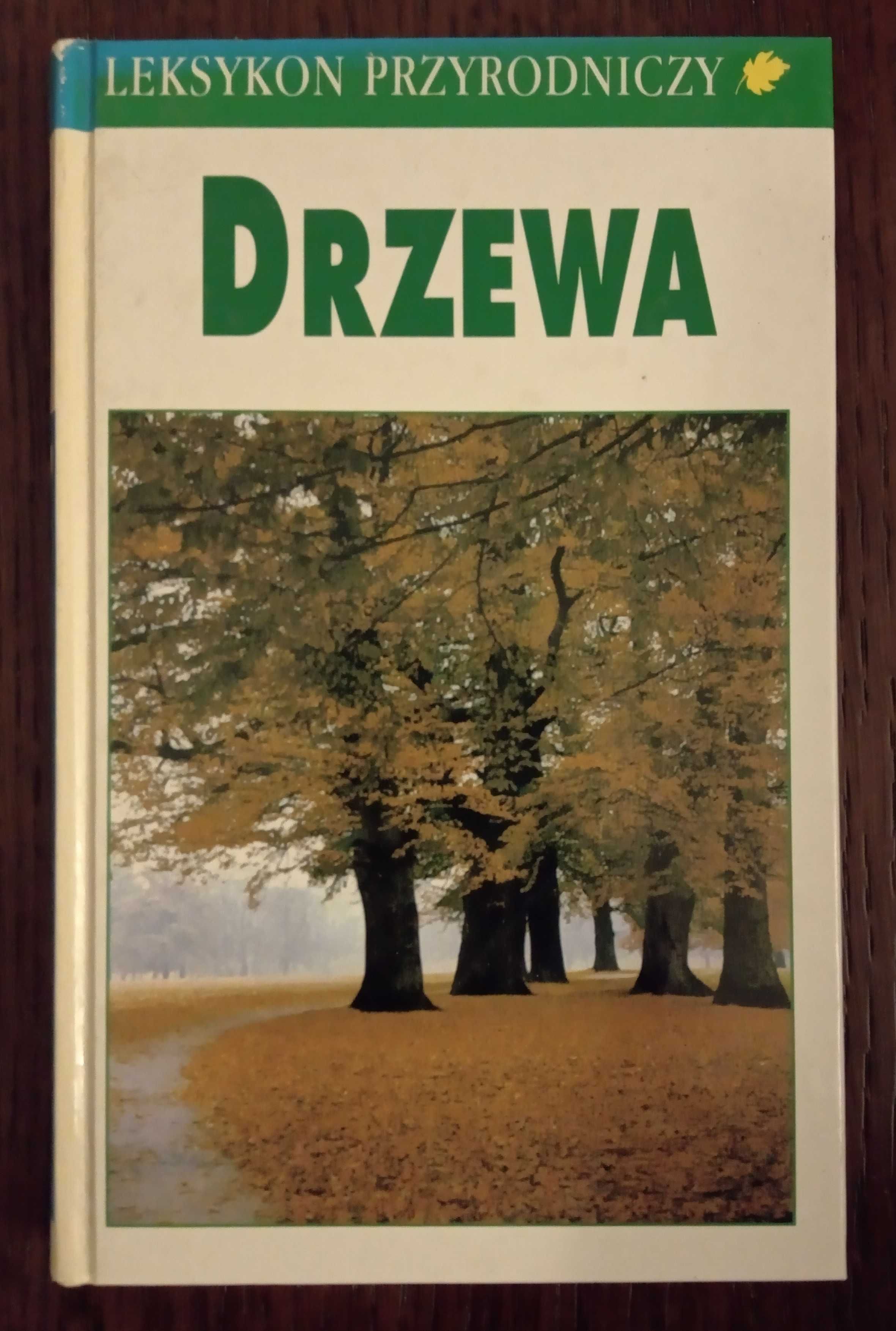 Drzewa. Leksykon przyrodniczy - Bruno T. Kremer