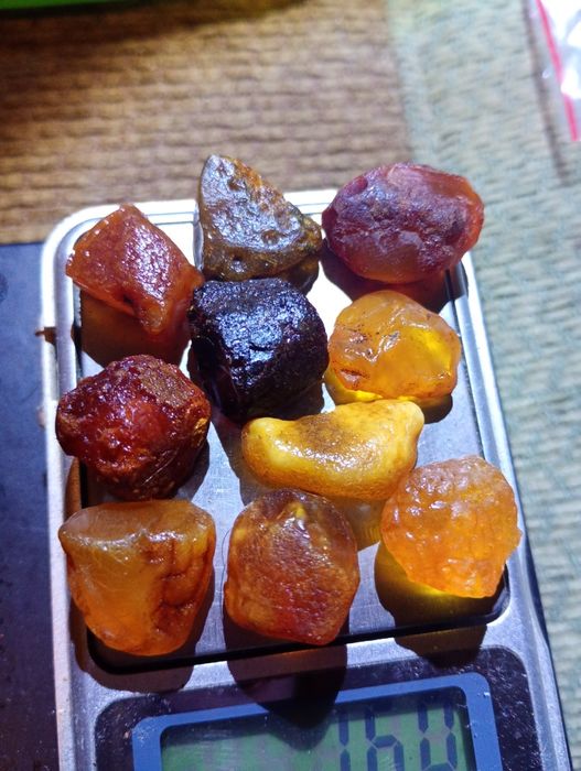 Bursztyn bałtycki surowy 10 szt