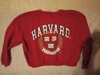 Bluza Harvard clockhouse C&A L