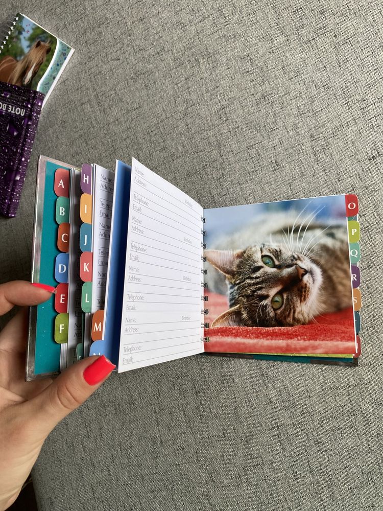 notes/książka adresowa z kotkami