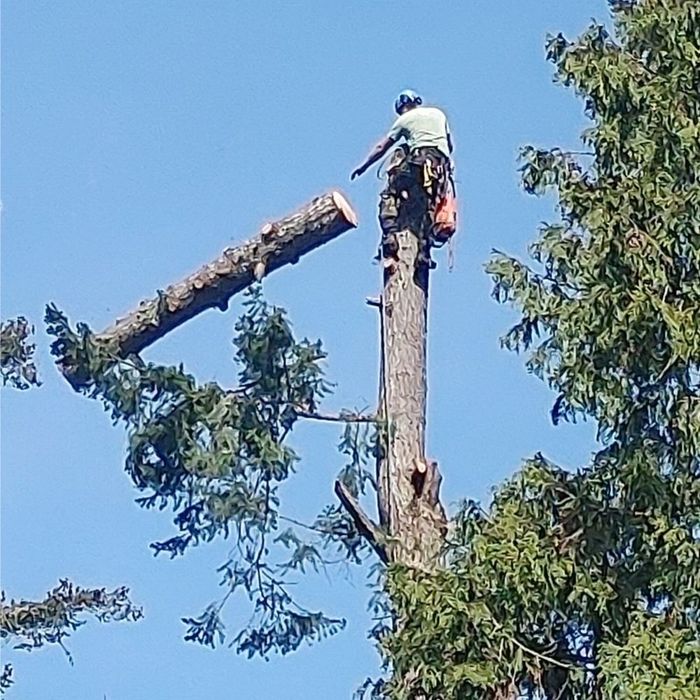 Tabem fazemos limpeza de terrenos