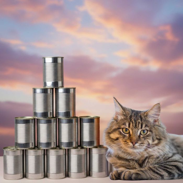 24 Szt X 400G Puszki Dla Kotów Promocja