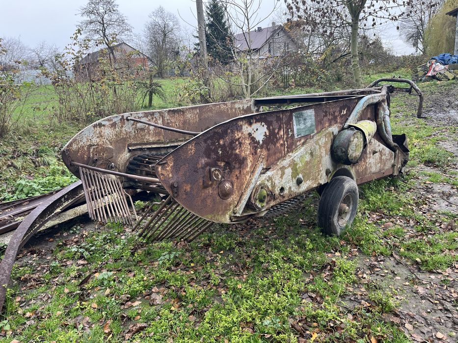 Kopaczka elewatorowa do ziemniaków