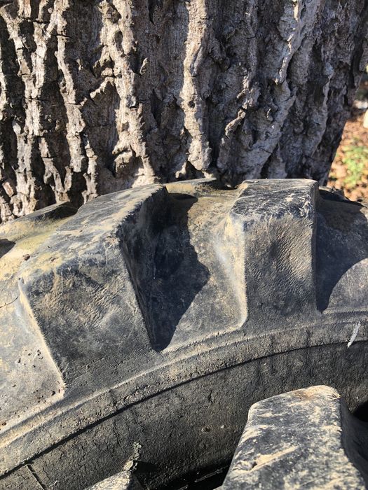 Opony 8.25-20 firmy WINI