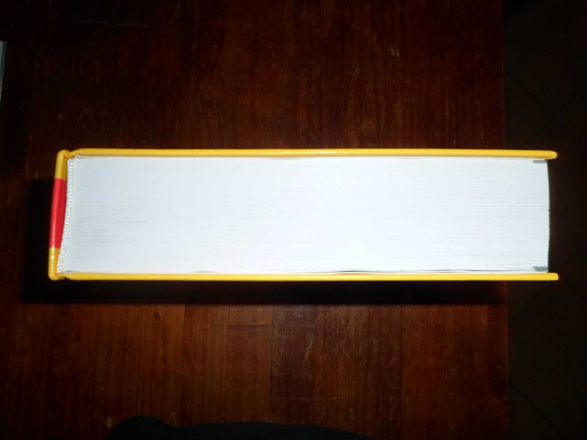 Pharmindex Kompendium Leków 10 ,2009