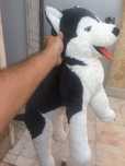 Lote de 6 peluches