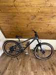 Dartmoor primal 29