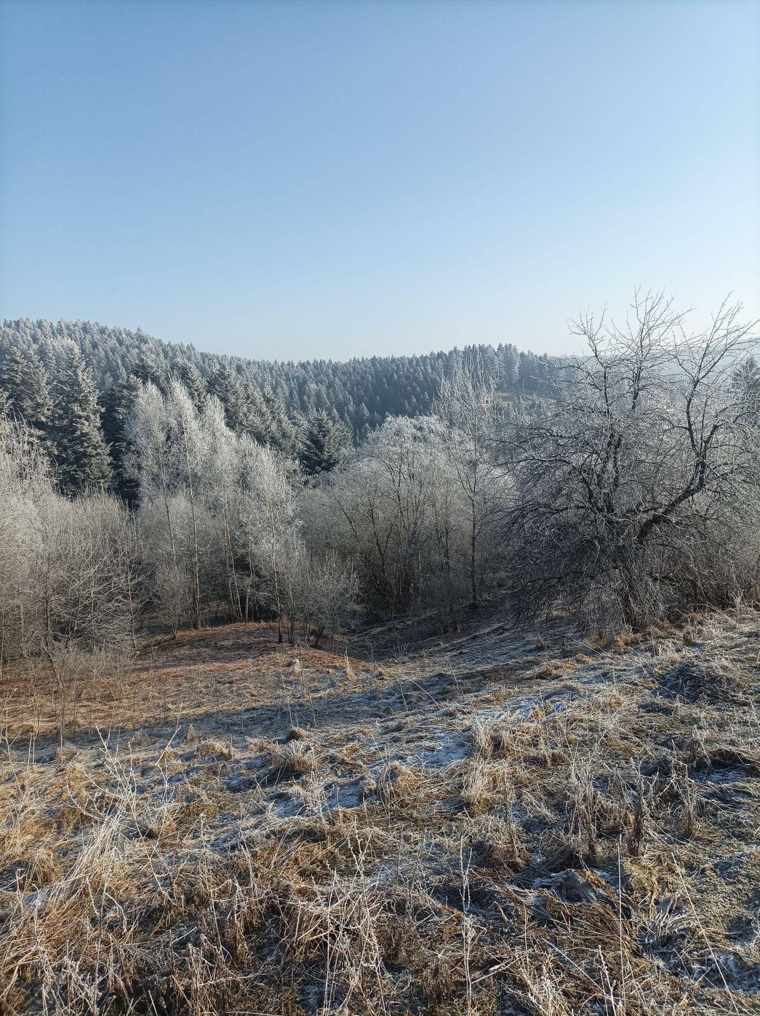 Земельна ділянка
