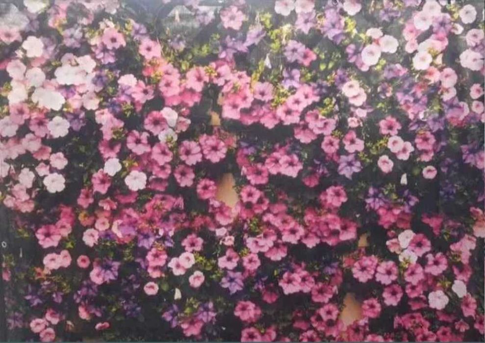 OKAZJA! OSŁONA BALKONOWA tarasowa na balkon kwiaty 180x120 - 2 sztuki!