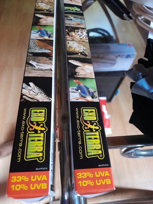 Lampadas pra animais exóticos