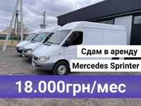 Аренда Mercedes sprinter буса грузового оренда БЕЗ ВОДИТЕЛЯ СПРИНТЕР