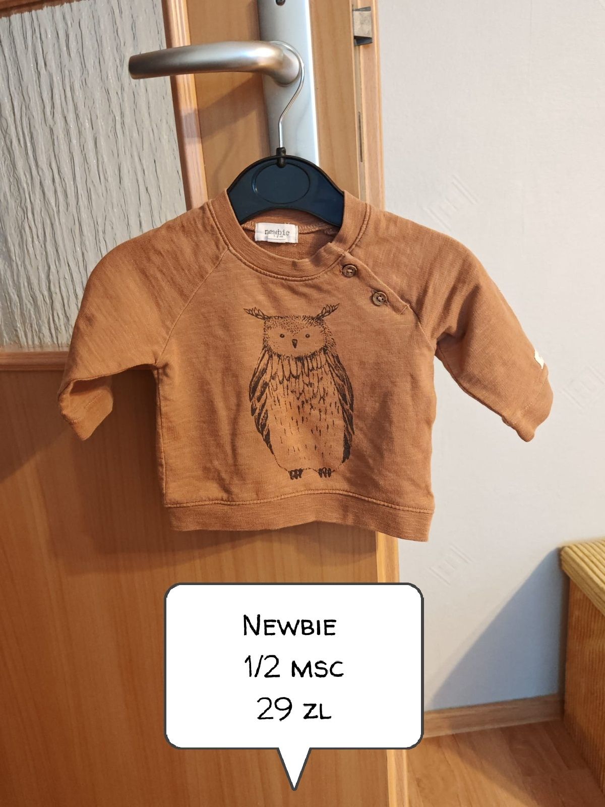Bluza newbie sowa