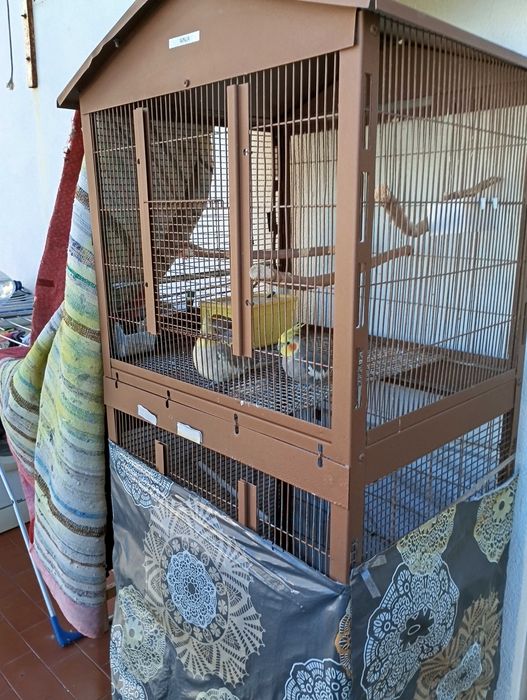 Vendo Casal de caturas