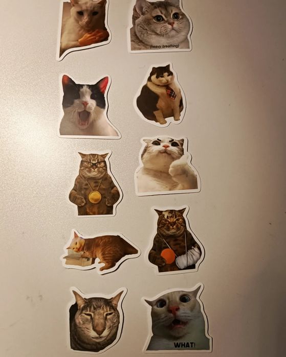 Наліпки котики мемчики