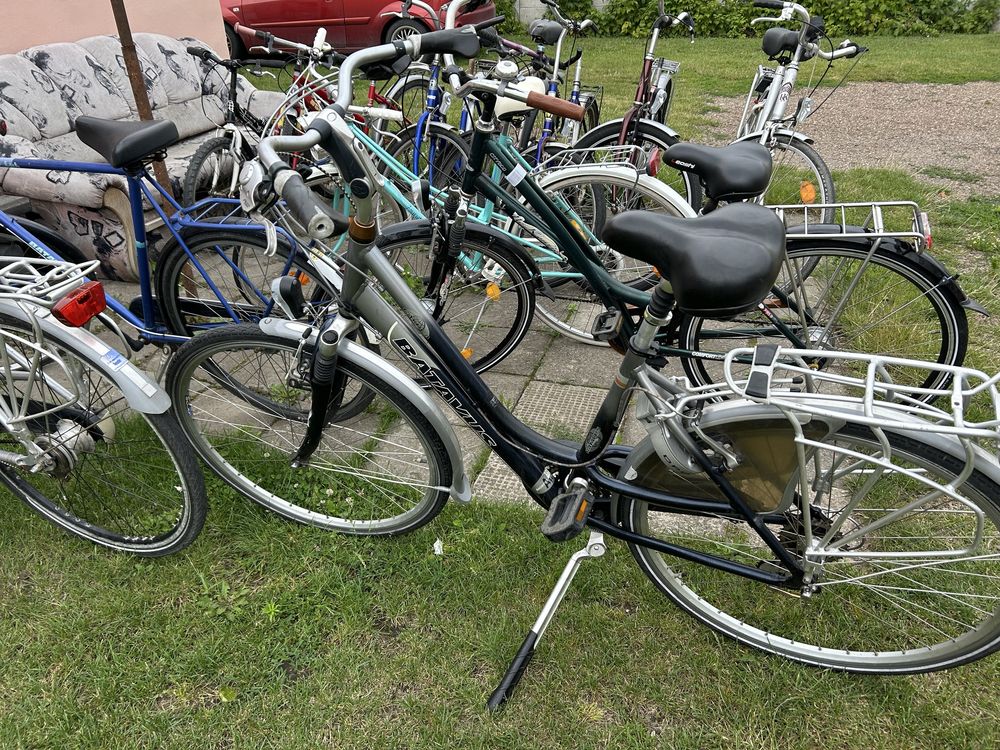 Rower gazelle, giant, batavus