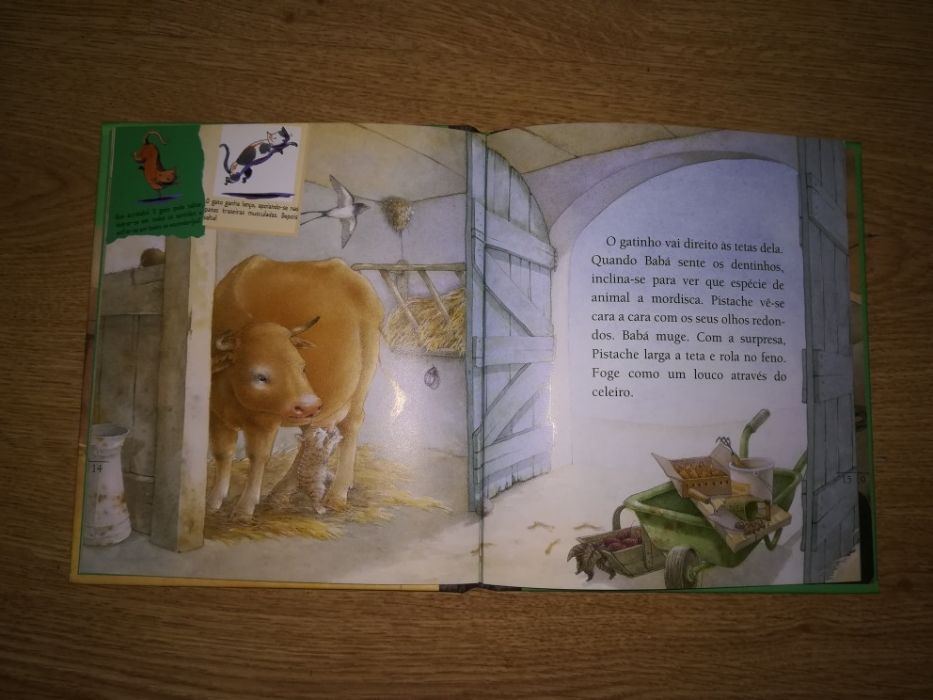 Livro - O Gato (infantil)