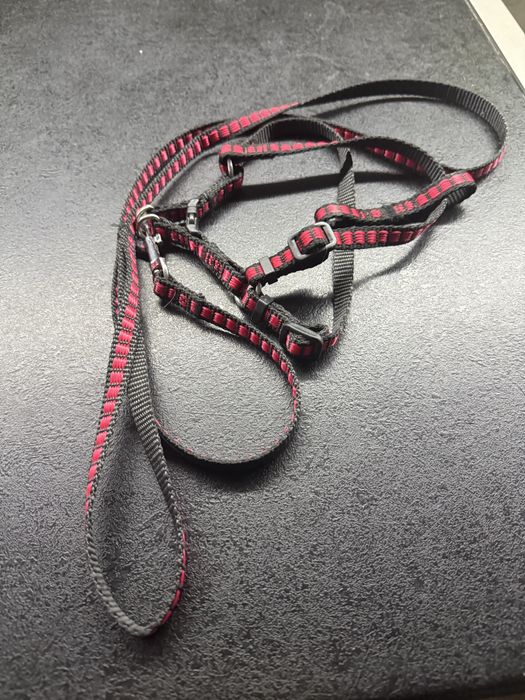 Повідок для кота , песика