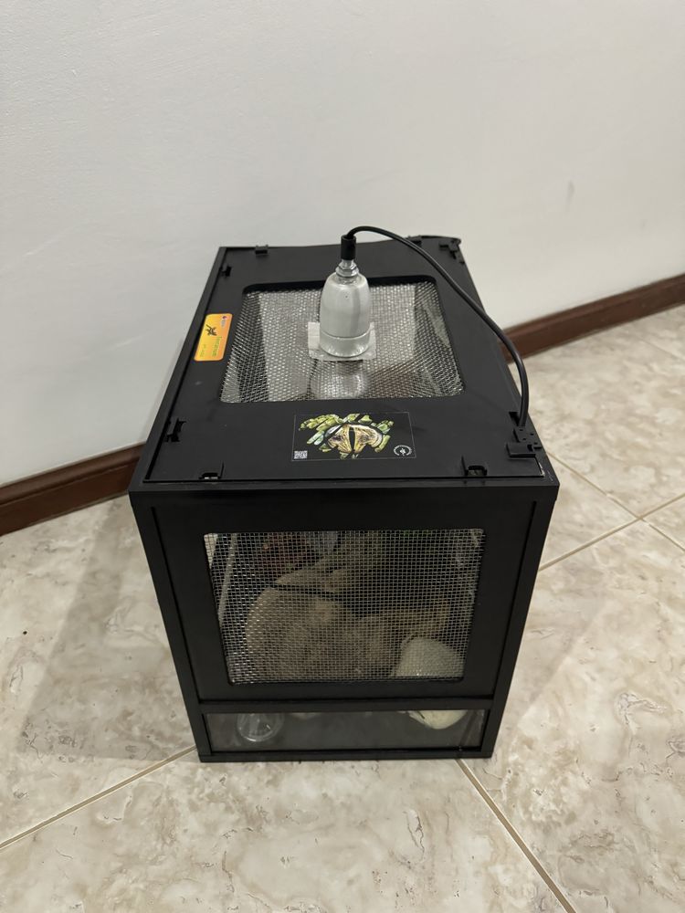Terrario para repteis