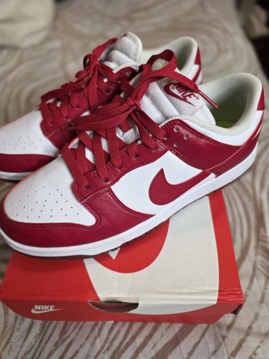 Nike Air Dunk Low Next Nature