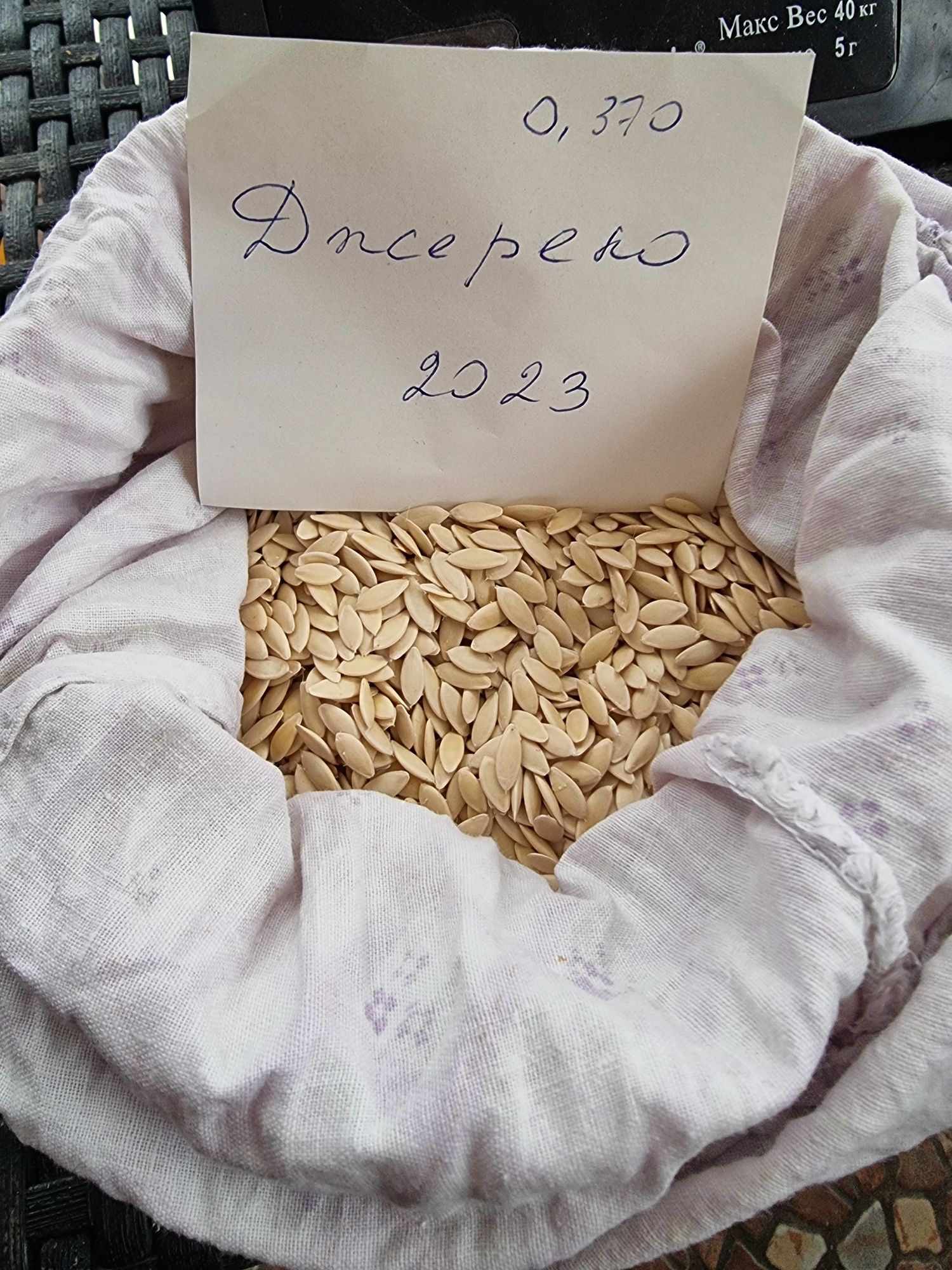 Продам семена  огурцов