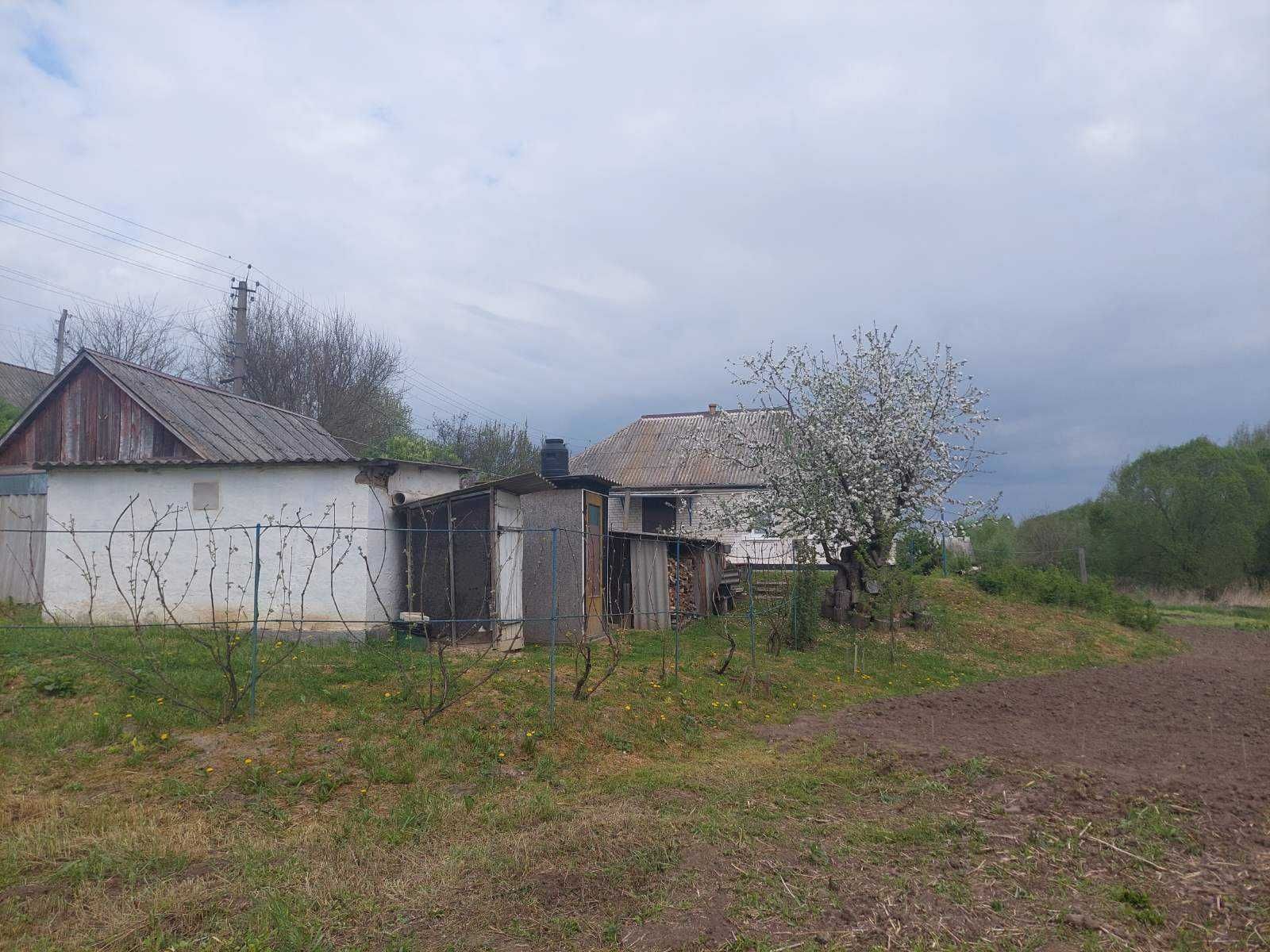 Продається будинок із ставком у мальовничому місці неподалік від лісу.