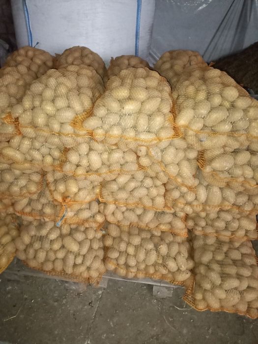 Ziemniaki Anna Queen