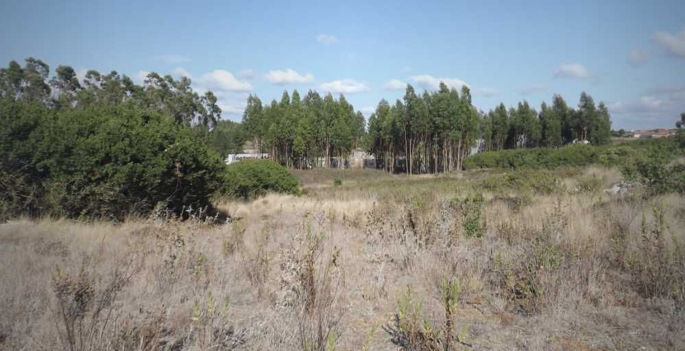 Vendo Terreno na Lorinhã com 7.480m2 - a 9 kms da praia da Areia Branca