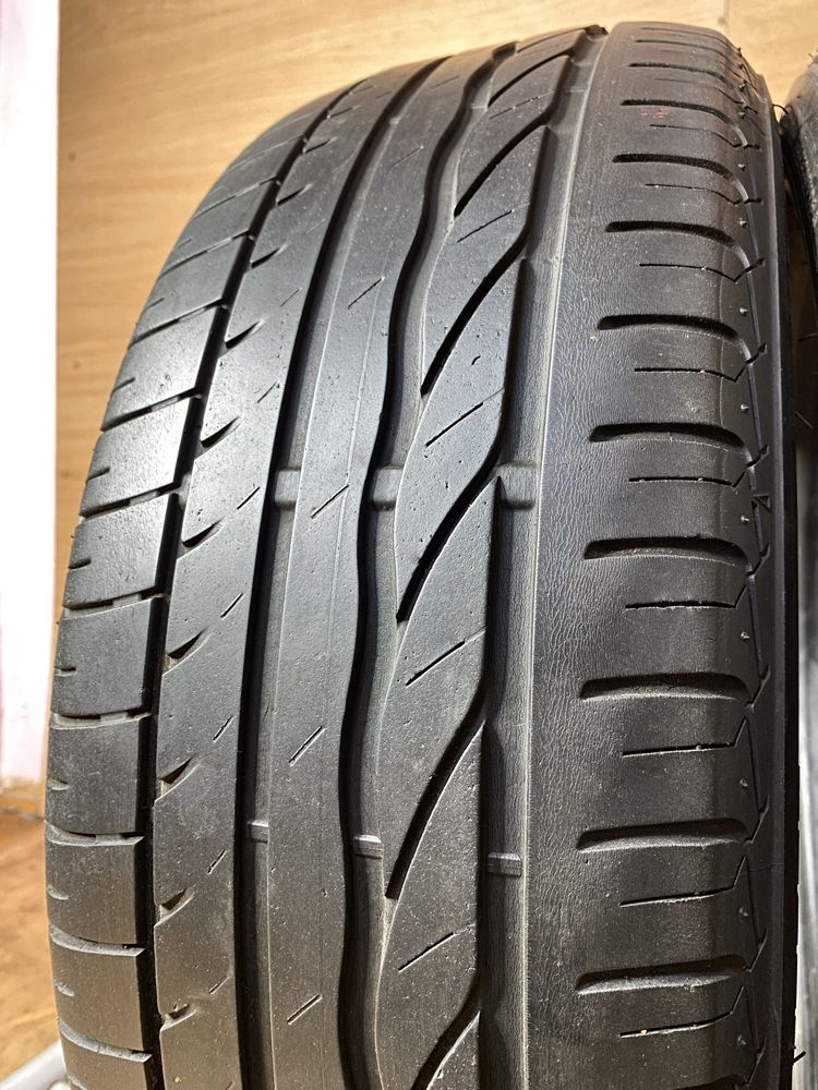 195/55 R 16 Bridgestone Turanza ER300 Літо пара шин
