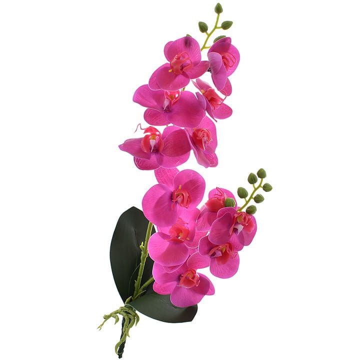 Storczyk orchidea gałązka dekoracja kwiat ozdoba