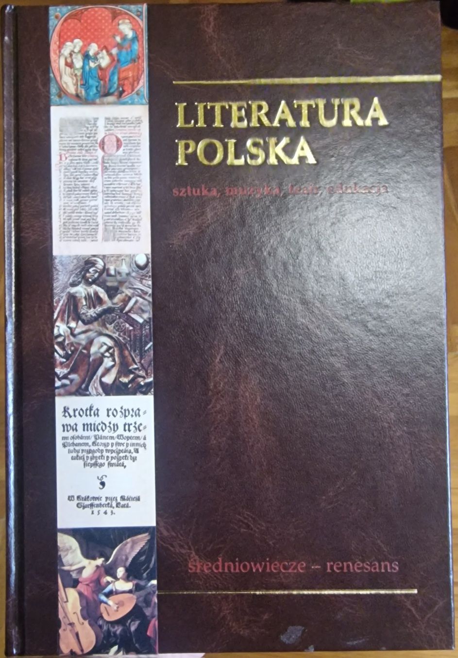 Literatura Polska 10 tomów - 300