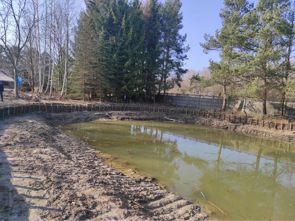 Faszynowanie zabespiecznie brzegów kopanie stawów umocnienia brzegów