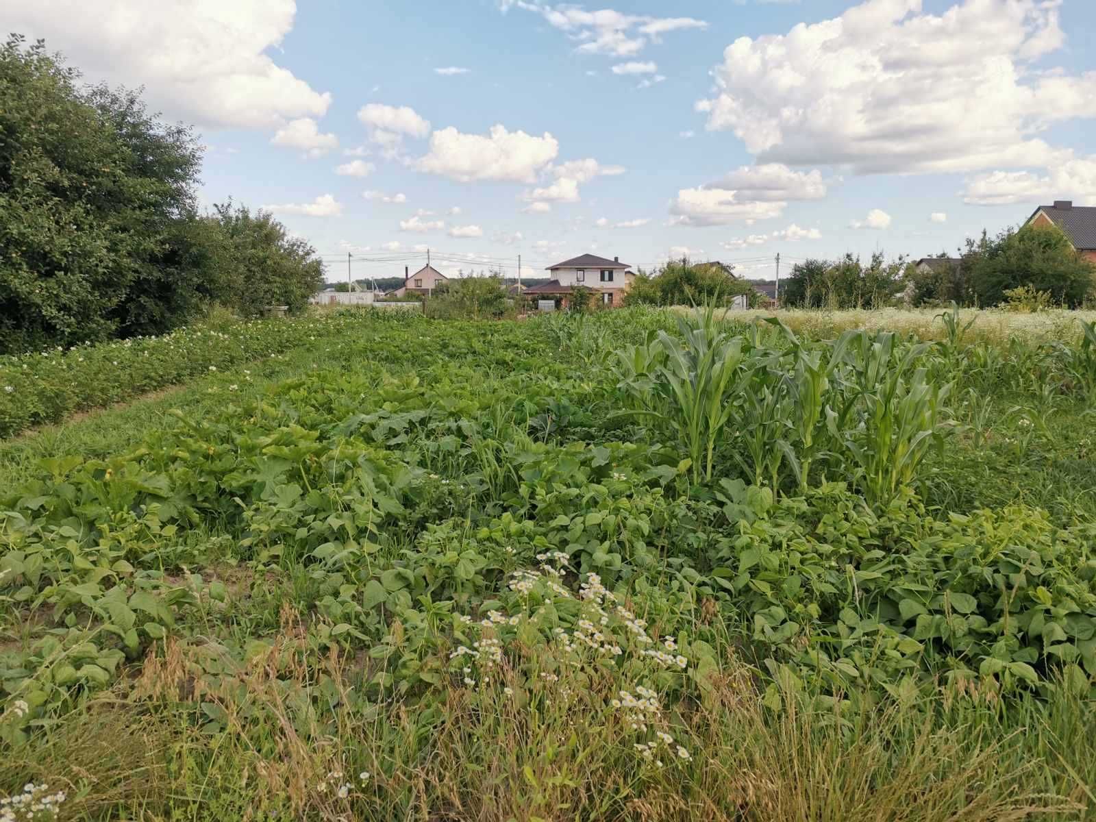 Продаж земельної ділянки під житлову забудову, площа 9 соток