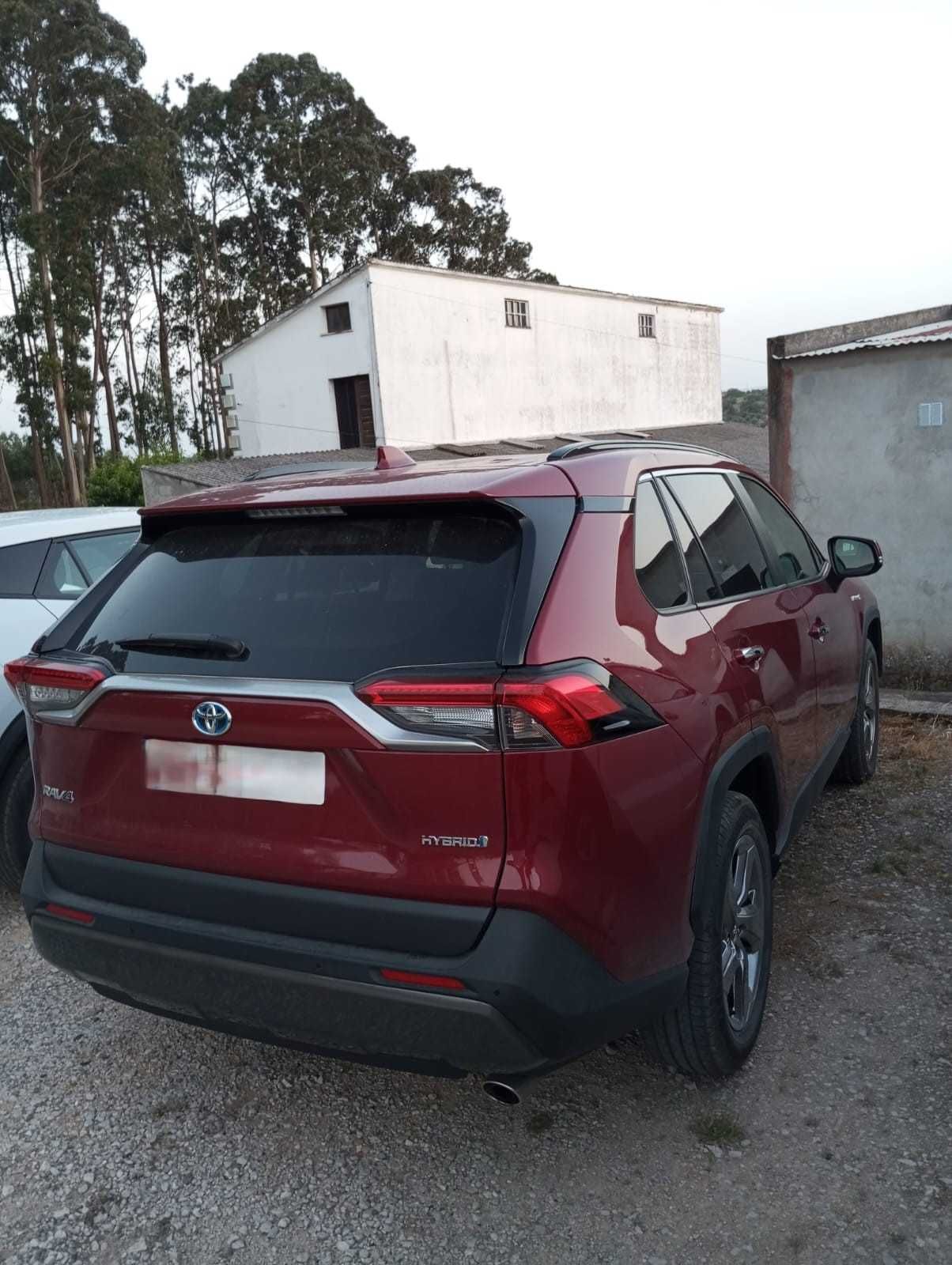 Toyota RAV4 2.5 híbrido 2020