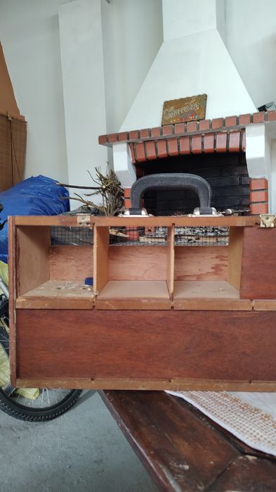 Transportadora de aves