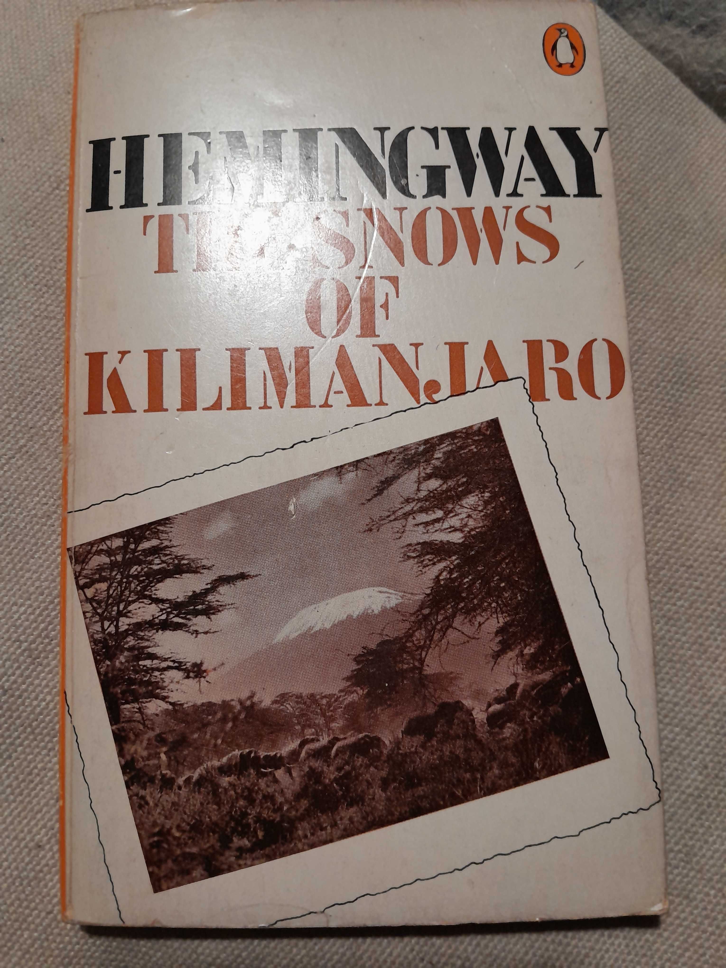 The snows of Kilimanjaro