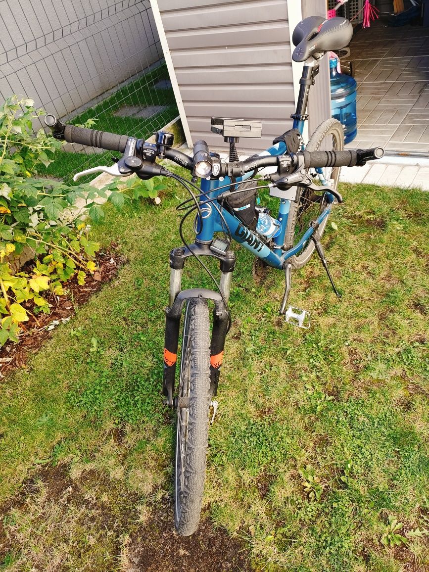 Rower niebieski Giant L