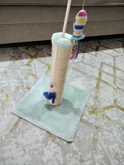 Arranhador para Gato  novo