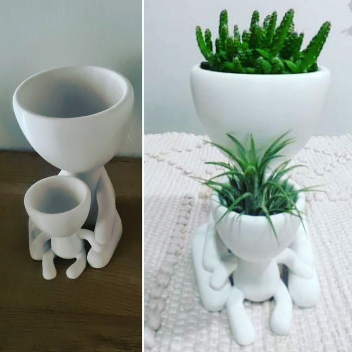 Vaso para suculentas