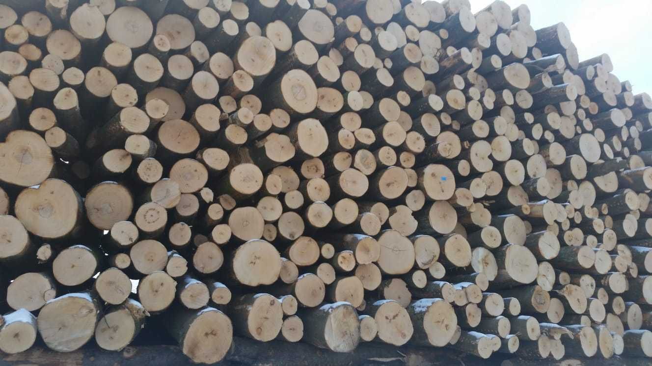 Drewno kominkowe DĄB