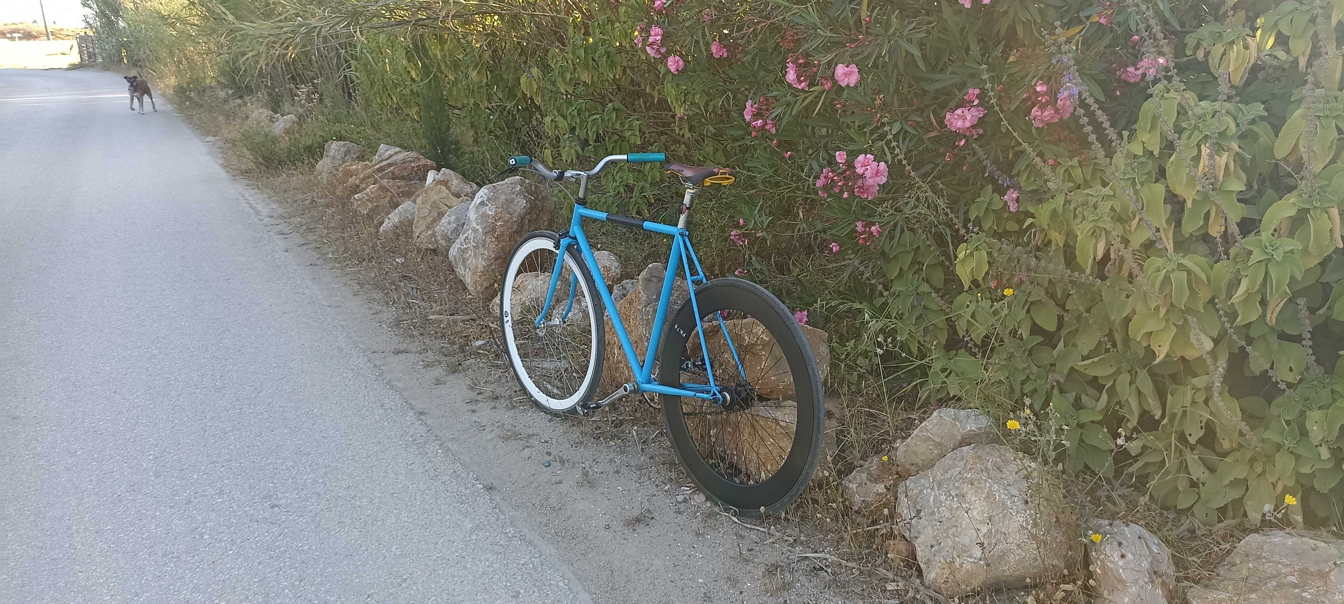 Bicicleta single Speed única.