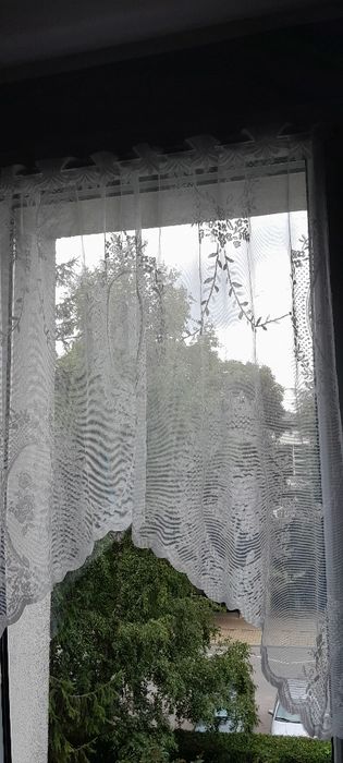 Firanka krótka szerokość 116cm