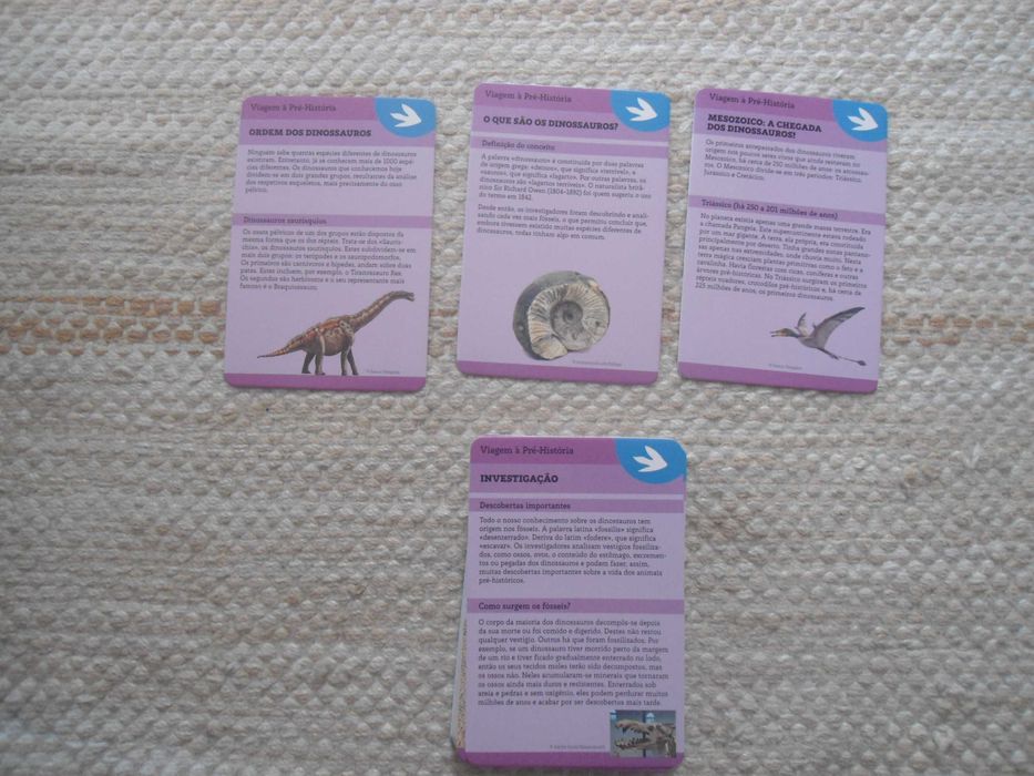 Caixa com cartões de 50 dinossauros gigantes