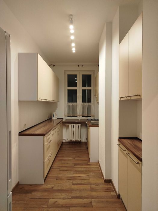 Przestronne mieszkanie w centrum do wynajęcia