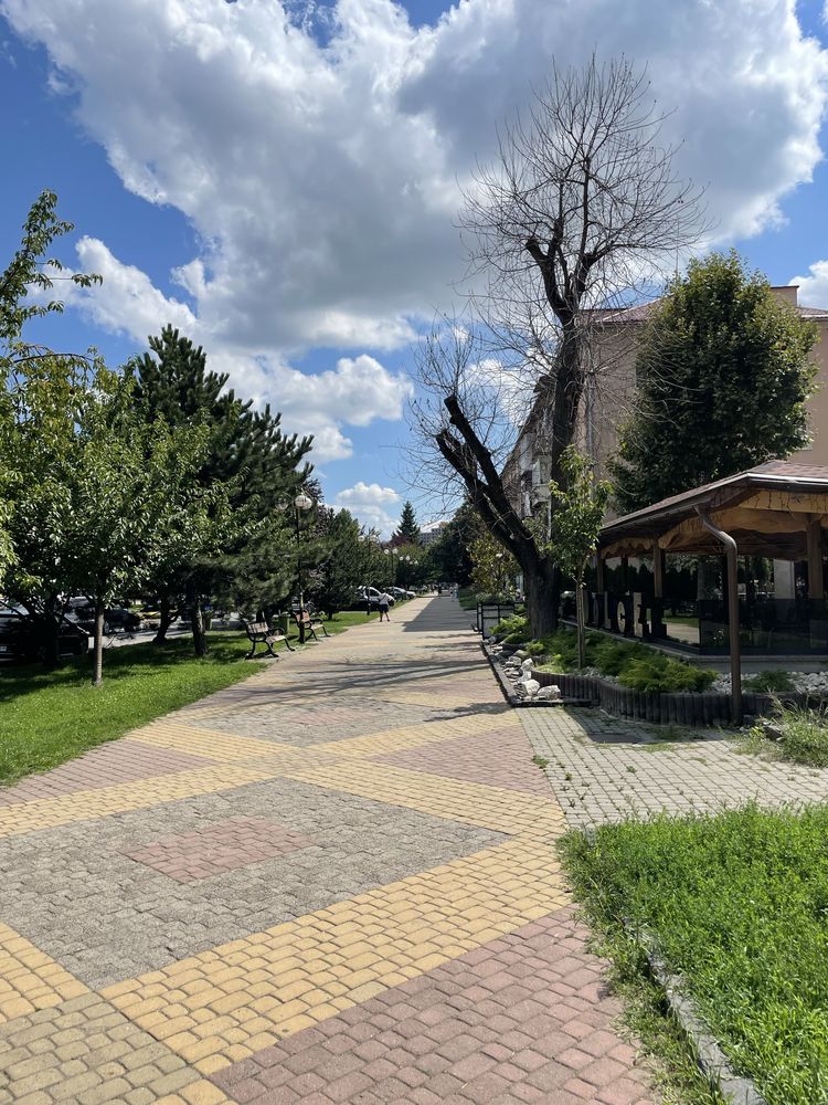 Здається комерційне приміщення