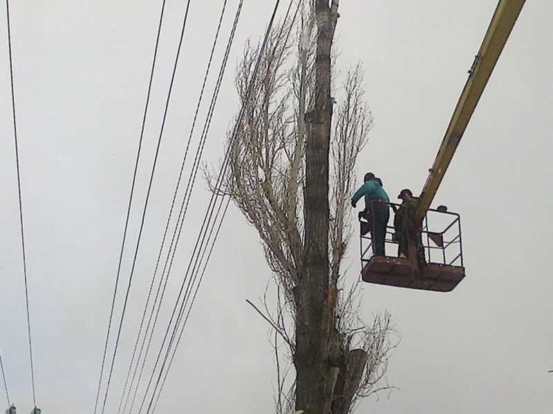 Видалення. Валка. Спилювання небезпечних, аварійних дерев