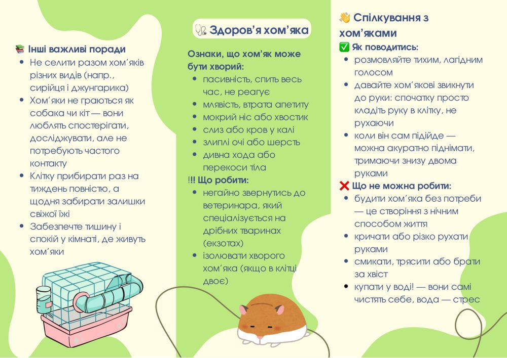Хомʼяки джунгарики БЕЗКОШТОВНО