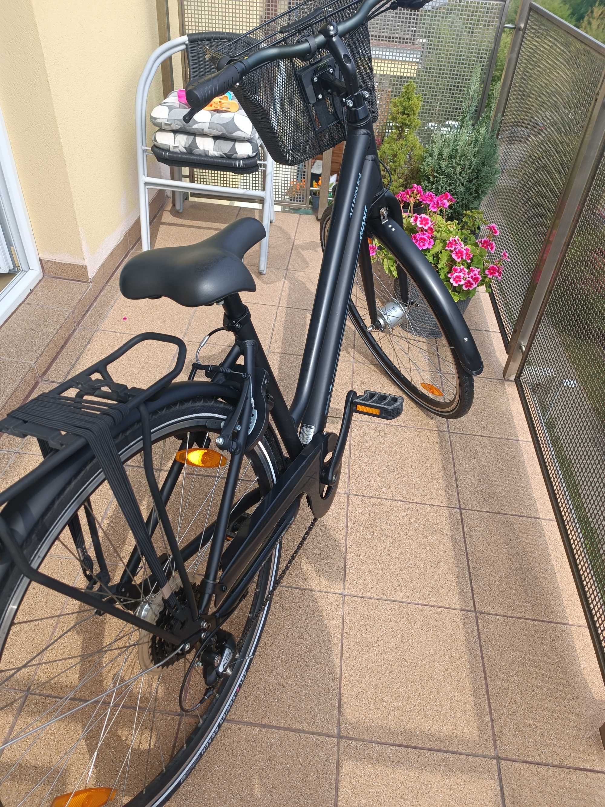 Rower Giant Atttend RS3 LDS/S