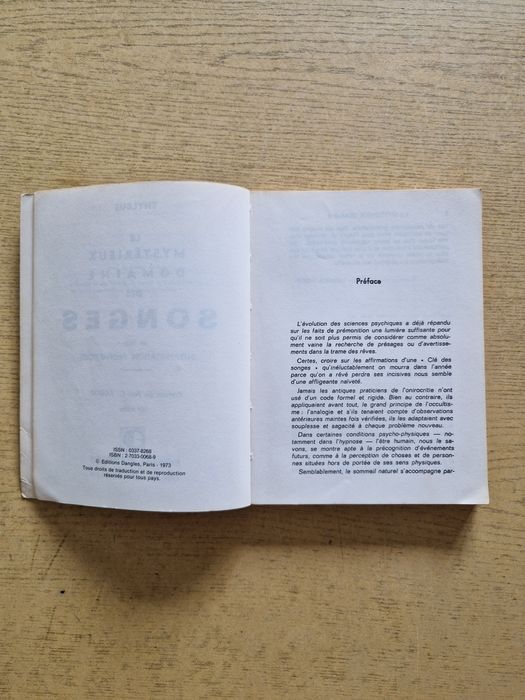 Książka w języku francuskim słownik snów autor Thylbus