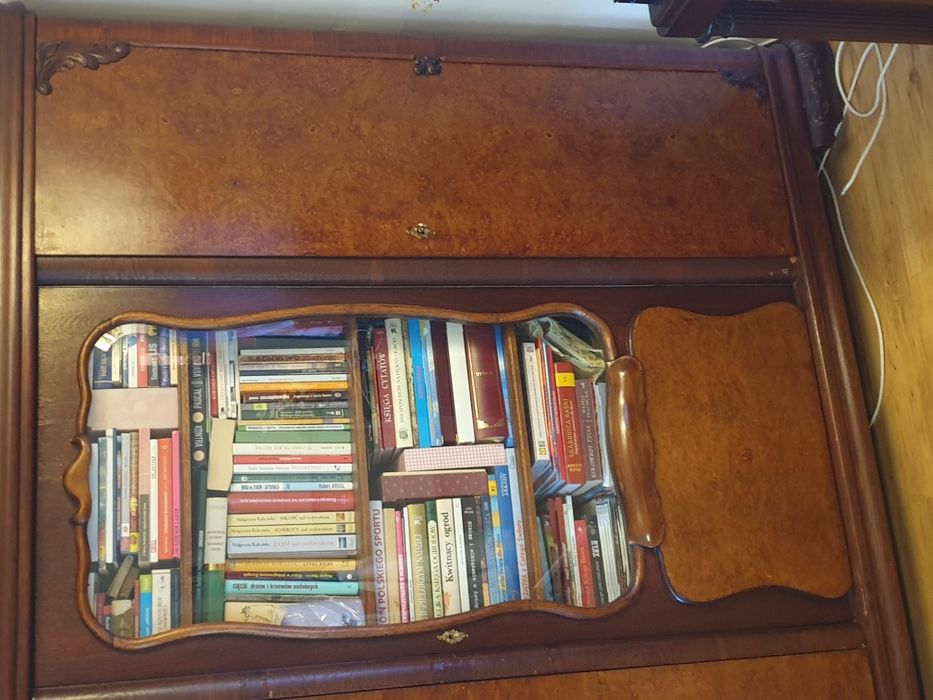 SPRZEDAM zabytkową Witrynę (Biblioteczkę)!